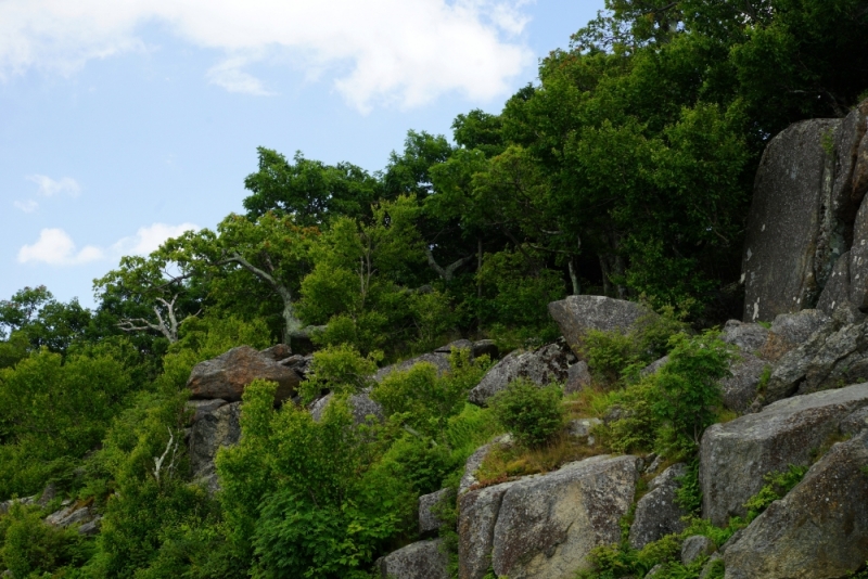 Shenandoah -> Blue Ridge Parkway -> Great Smoky Mountains - слайды и координаты