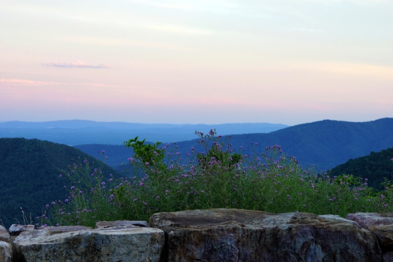 Shenandoah -> Blue Ridge Parkway -> Great Smoky Mountains - слайды и координаты