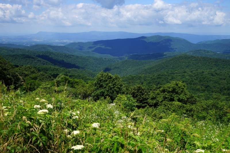 Shenandoah -> Blue Ridge Parkway -> Great Smoky Mountains - слайды и координаты