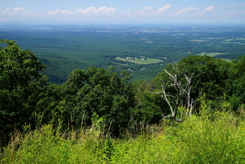 Shenandoah -> Blue Ridge Parkway -> Great Smoky Mountains - слайды и координаты