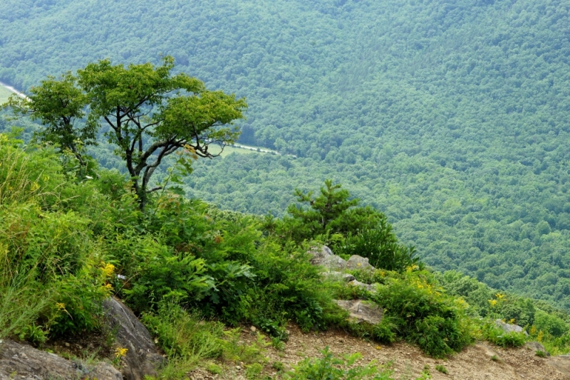 Shenandoah -> Blue Ridge Parkway -> Great Smoky Mountains - слайды и координаты