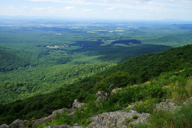 Shenandoah -> Blue Ridge Parkway -> Great Smoky Mountains - слайды и координаты