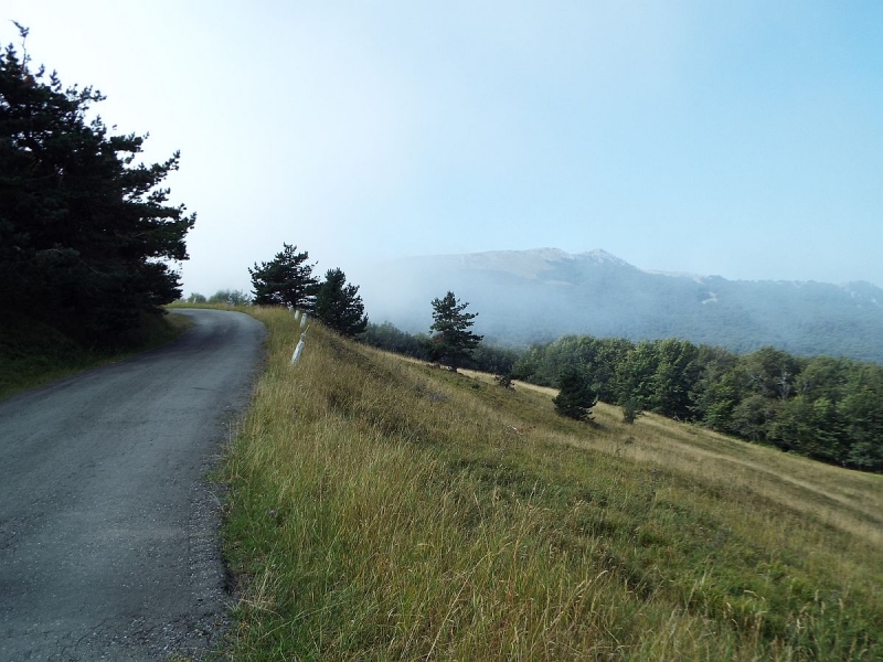 Крымский Fly@Drive