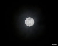 Жизнь семьи 2+2 в Таиланде. Хуа Хин, Пхукет