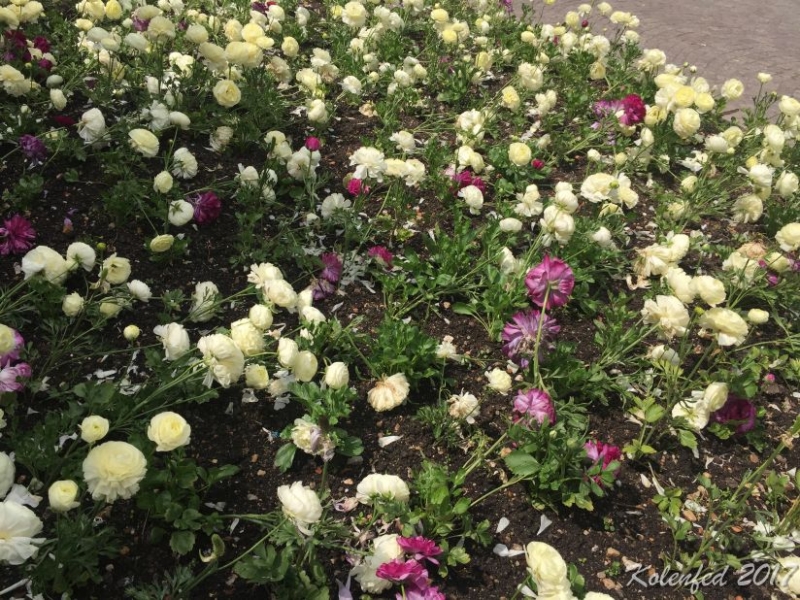 Юбилейный  автотрип  в Европу – весна 2017,