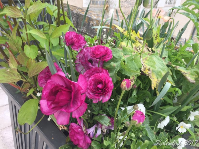 Юбилейный  автотрип  в Европу – весна 2017,