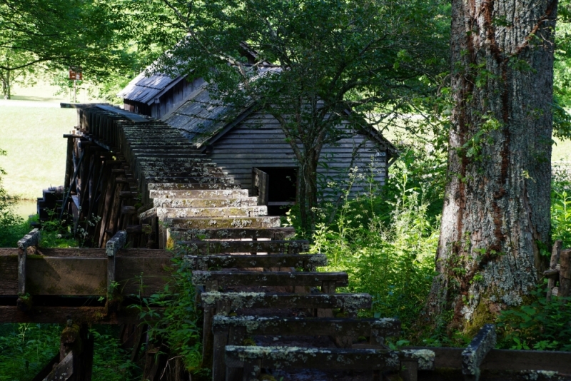 Shenandoah -> Blue Ridge Parkway -> Great Smoky Mountains - слайды и координаты