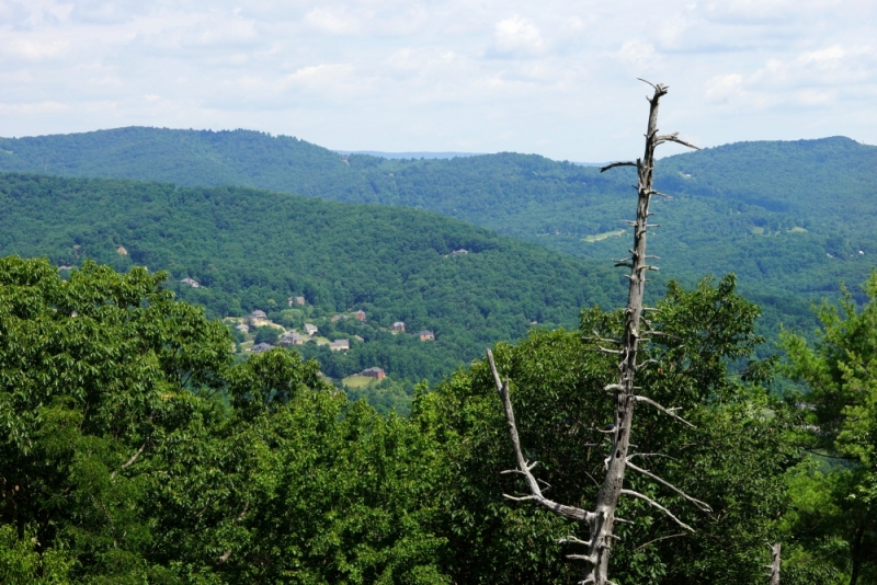 Shenandoah -> Blue Ridge Parkway -> Great Smoky Mountains - слайды и координаты