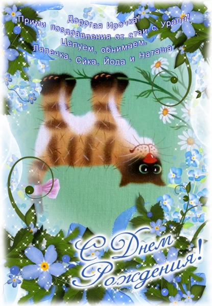 Кошки в нашей жизни. Кошки и все, что с ними связано.