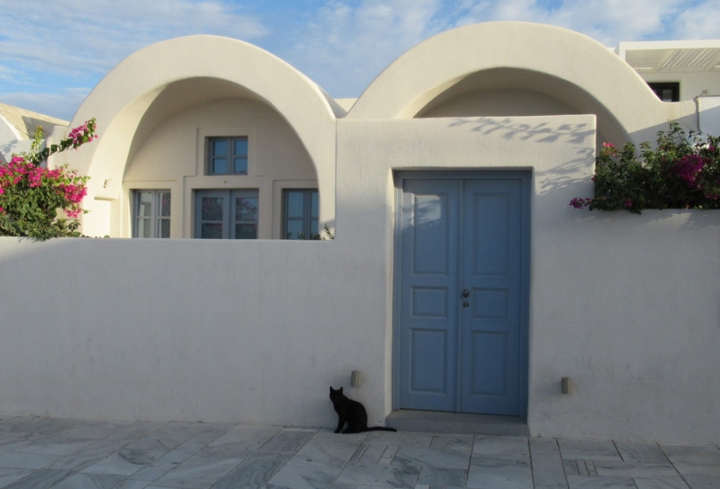 Кошки в нашей жизни. Кошки и все, что с ними связано.