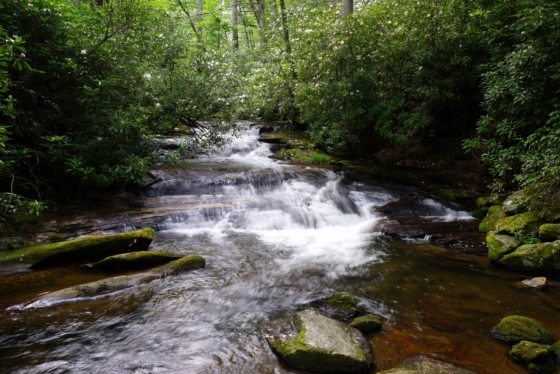 Shenandoah -> Blue Ridge Parkway -> Great Smoky Mountains - слайды и координаты