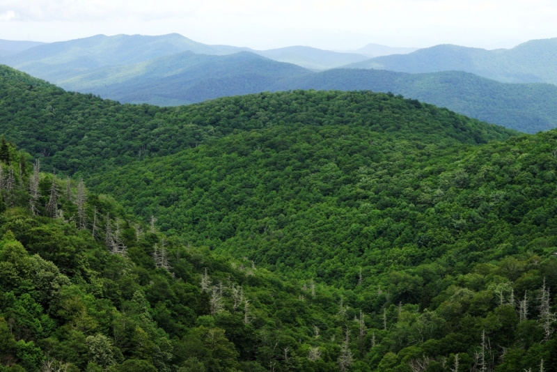 Shenandoah -> Blue Ridge Parkway -> Great Smoky Mountains - слайды и координаты