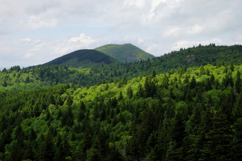 Shenandoah -> Blue Ridge Parkway -> Great Smoky Mountains - слайды и координаты