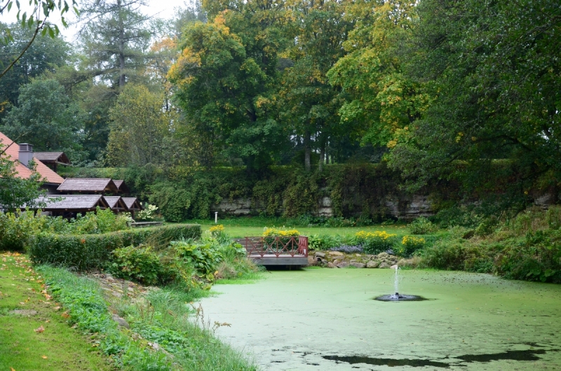 Кошки в нашей жизни. Кошки и все, что с ними связано.