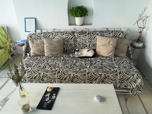 Наксос Кастраки