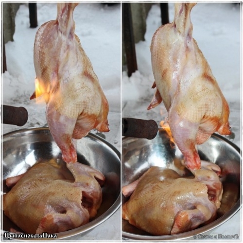 Цыпленок таПака