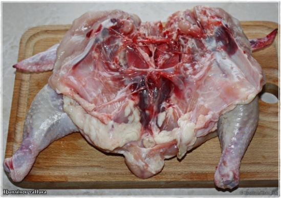 Цыпленок таПака