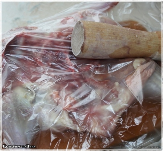 Цыпленок таПака