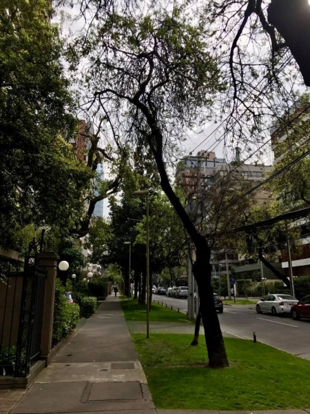Puerto Montt - Puerto Río Tranquilo и Озерный край за две недели Puerto Montt - Puerto Río Tranquilo и Озерный край за две недели