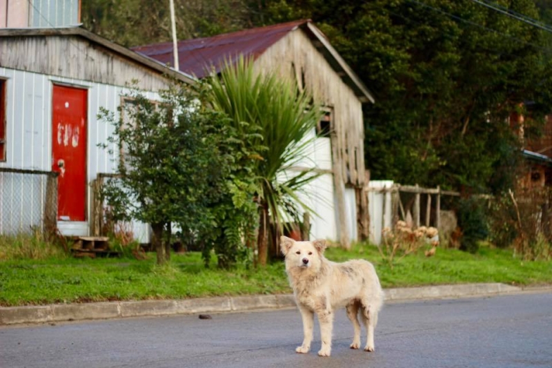 Puerto Montt - Puerto Río Tranquilo и Озерный край за две недели