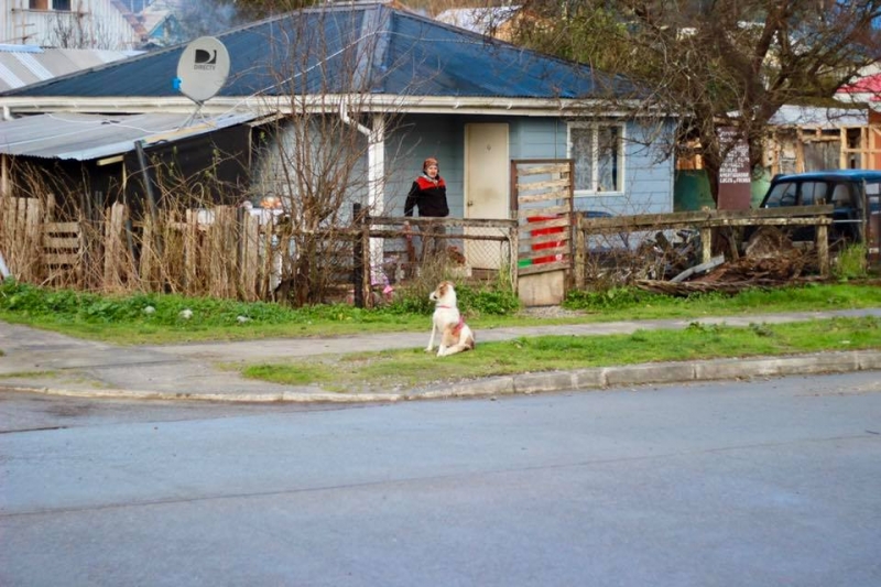 Puerto Montt - Puerto Río Tranquilo и Озерный край за две недели