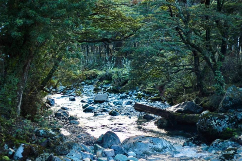 Puerto Montt - Puerto Río Tranquilo и Озерный край за две недели