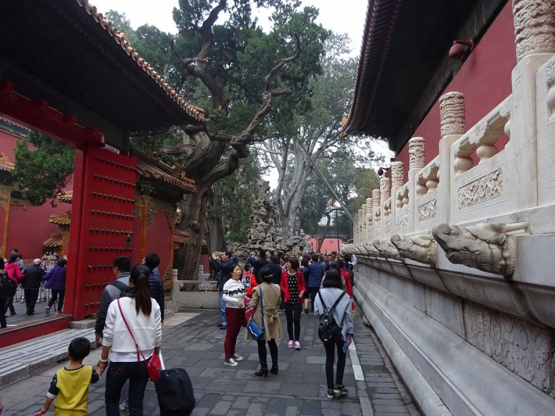 Пекин и сказочное волшебство провинции Гуанси.