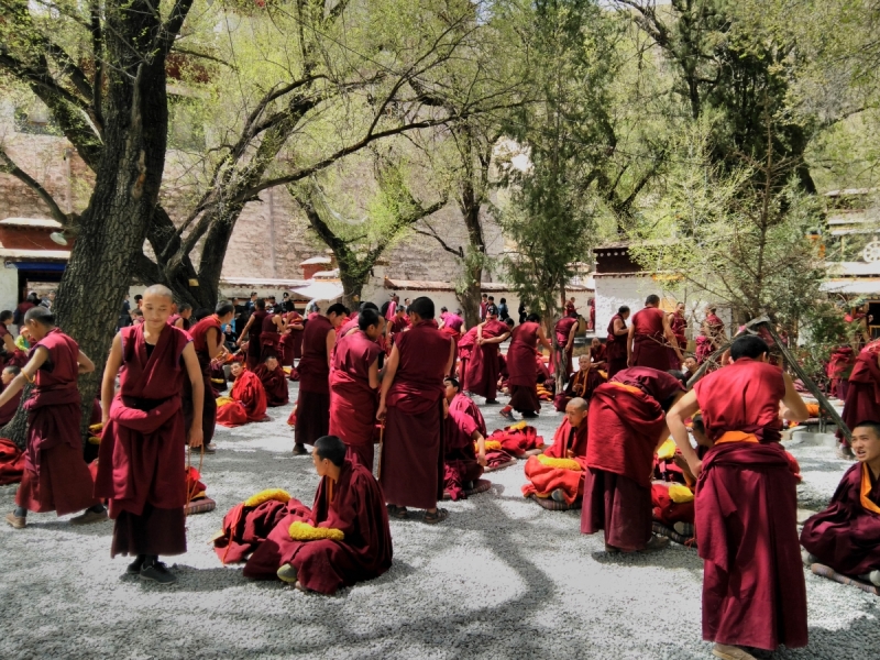 В Тибет на кору. Май 2017