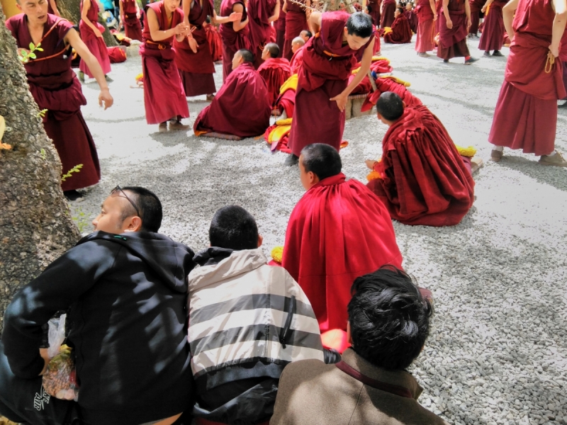 В Тибет на кору. Май 2017
