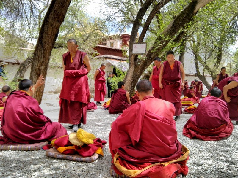 В Тибет на кору. Май 2017