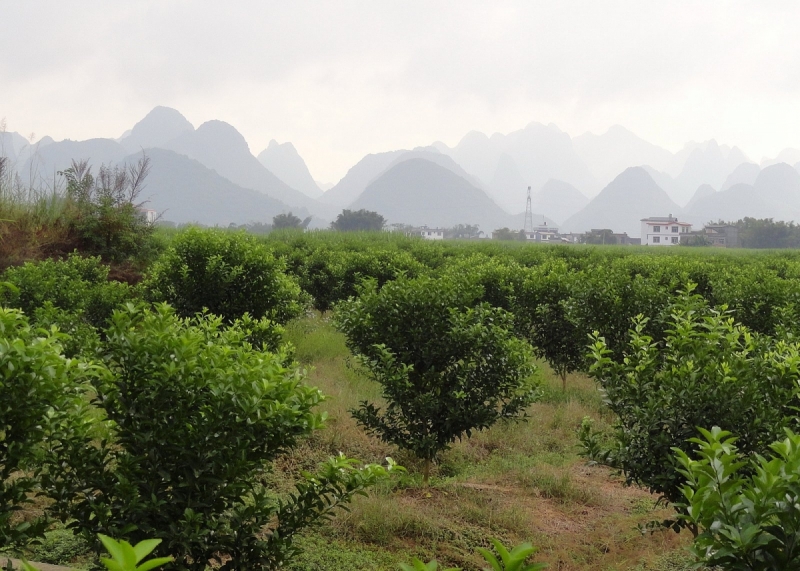 Пекин и сказочное волшебство провинции Гуанси.