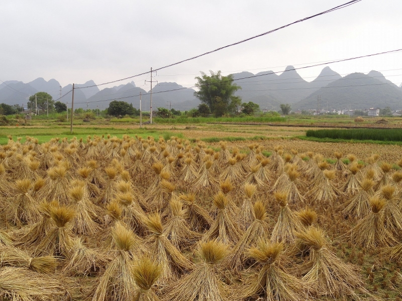 Пекин и сказочное волшебство провинции Гуанси.