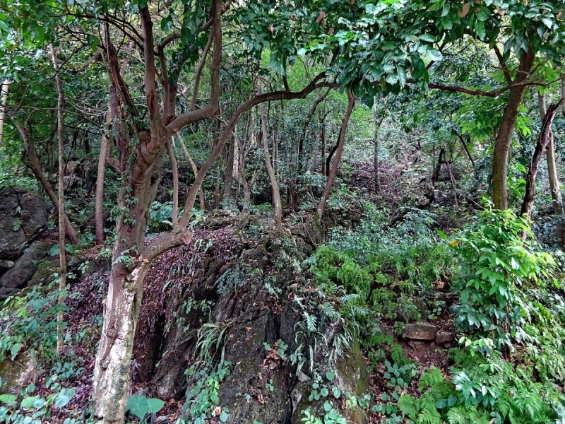 Пекин и сказочное волшебство провинции Гуанси.