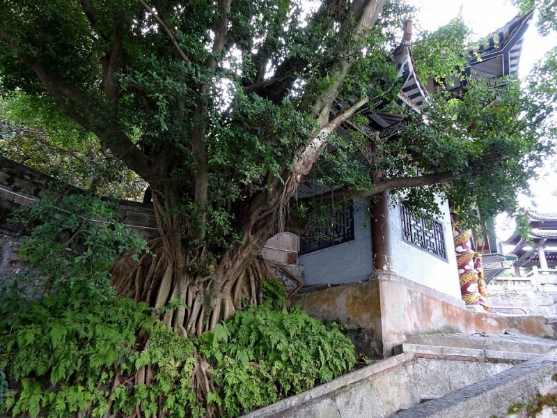 Пекин и сказочное волшебство провинции Гуанси.