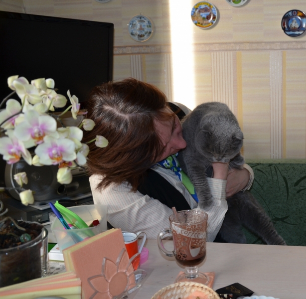 Кошки в нашей жизни. Кошки и все, что с ними связано.