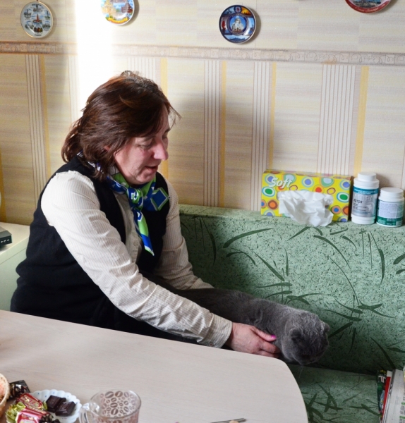 Кошки в нашей жизни. Кошки и все, что с ними связано.