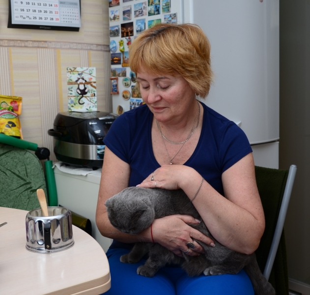 Кошки в нашей жизни. Кошки и все, что с ними связано.