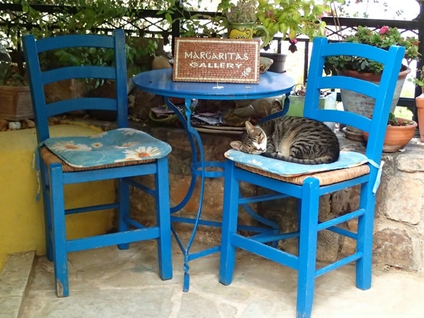 Кошки в нашей жизни. Кошки и все, что с ними связано.