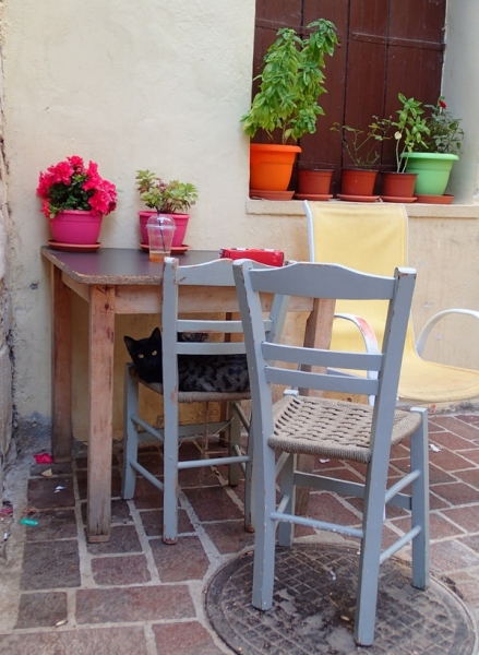 Кошки в нашей жизни. Кошки и все, что с ними связано.