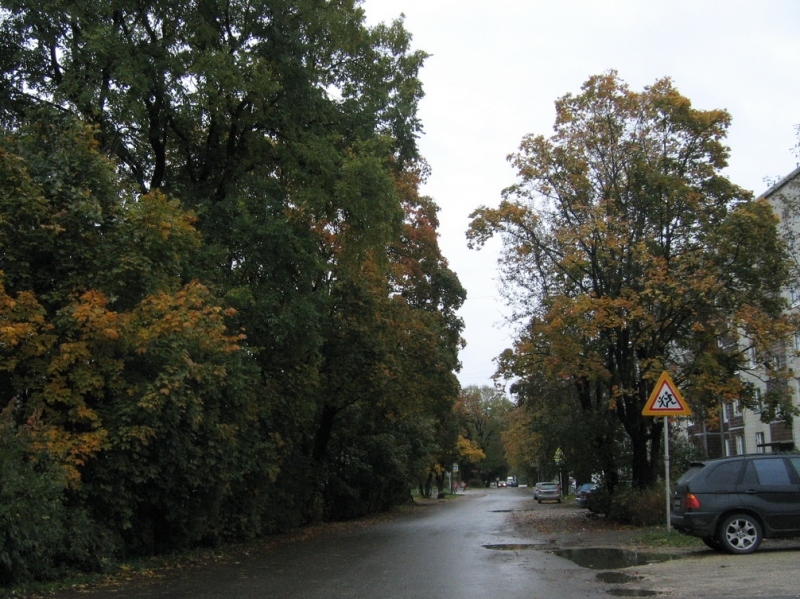 Кошки в нашей жизни. Кошки и все, что с ними связано.
