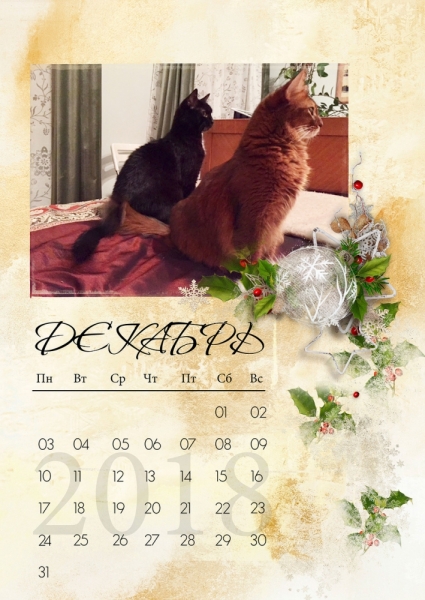 Кошки в нашей жизни. Кошки и все, что с ними связано.