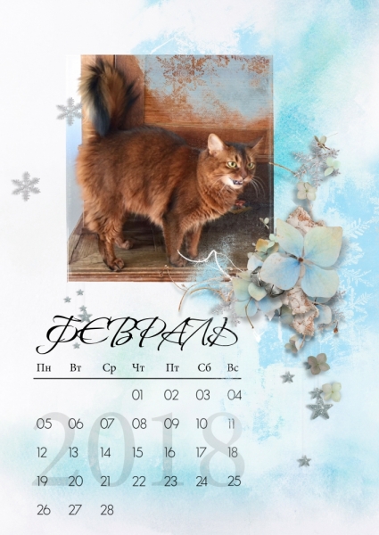 Кошки в нашей жизни. Кошки и все, что с ними связано.