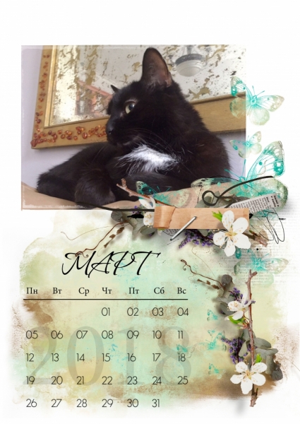 Кошки в нашей жизни. Кошки и все, что с ними связано.