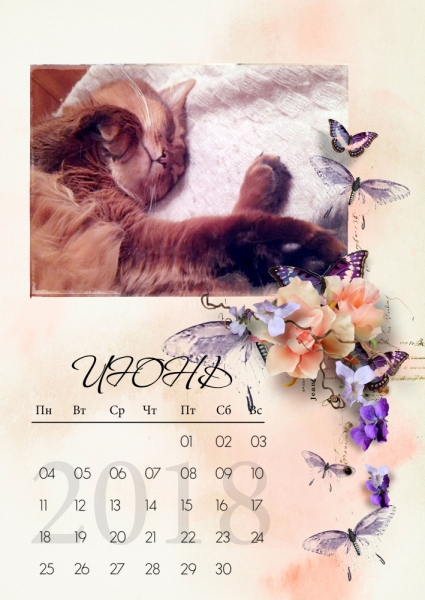 Кошки в нашей жизни. Кошки и все, что с ними связано.