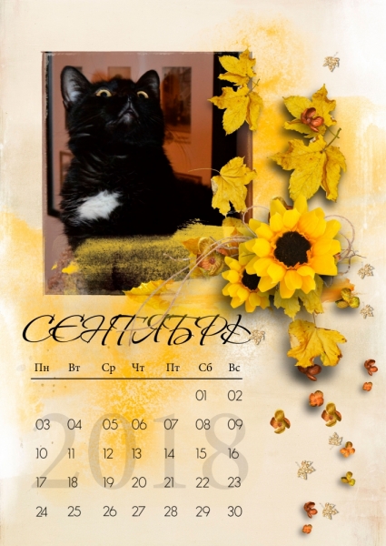 Кошки в нашей жизни. Кошки и все, что с ними связано.