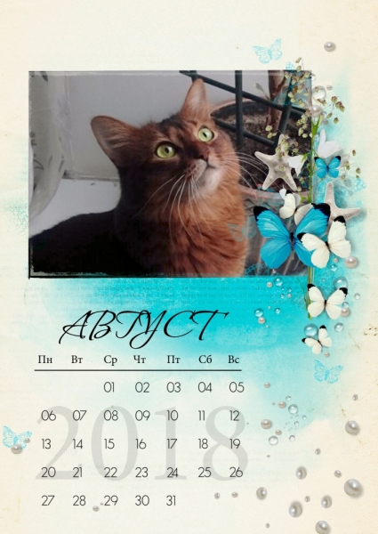 Кошки в нашей жизни. Кошки и все, что с ними связано.