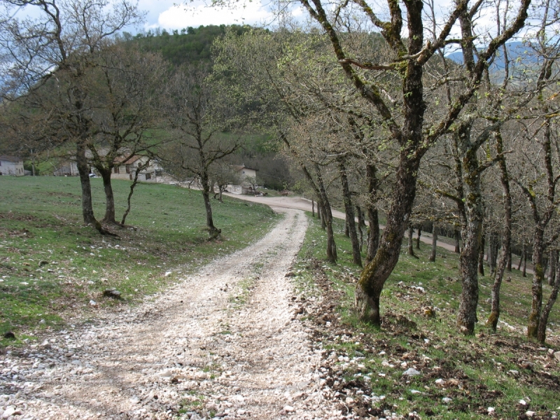 Cammino di San Benedetto или we'll be back