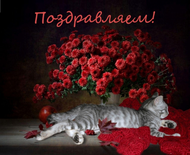 Кошки в нашей жизни. Кошки и все, что с ними связано.