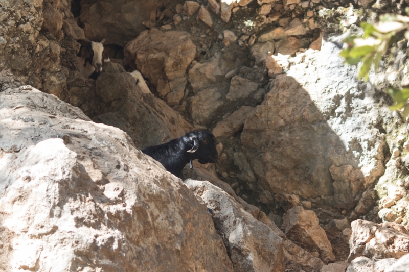 Lebanon 2017! Beirout-Juonieh-Byblos-Baalbek-Beit-ed-din-Sidon-Sour