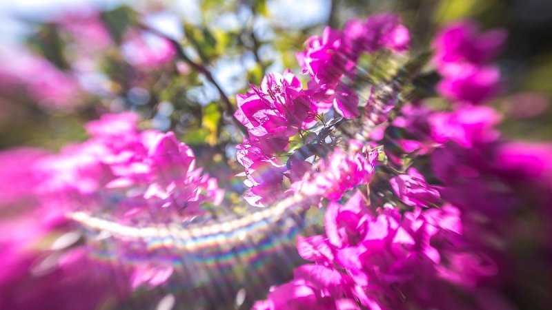 Lebanon 2017! Beirout-Juonieh-Byblos-Baalbek-Beit-ed-din-Sidon-Sour